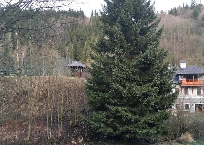 Vykmanov * Medenec